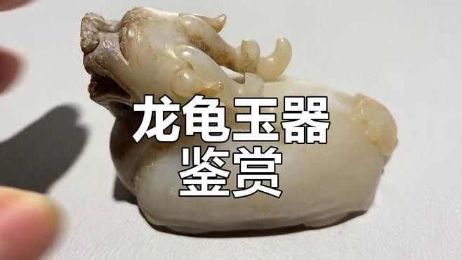 龍龜飾品有哪些款式選擇（阿里巴巴1688龍龜擺件排行榜）