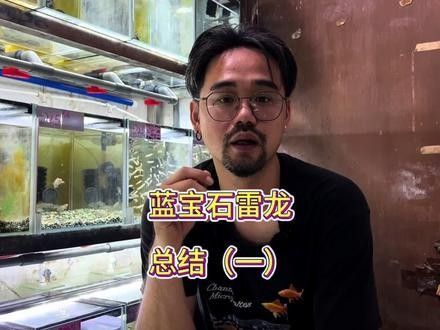 藍寶石龍魚的價格是多少？