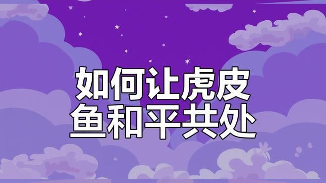 虎皮恐龍魚可以和其他魚混養(yǎng)嗎
