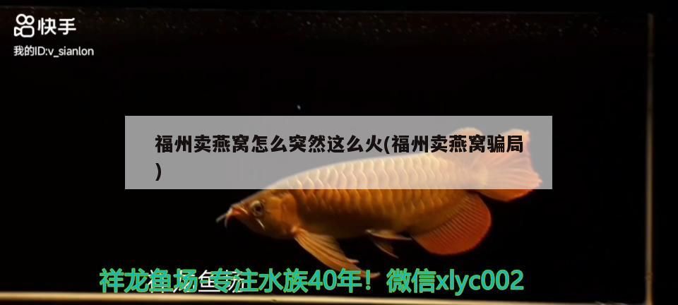 迷你魚缸養什么魚合適：迷你魚缸什么牌子的好（-->小魚缸適合養什么魚，小魚缸適合養什么魚）