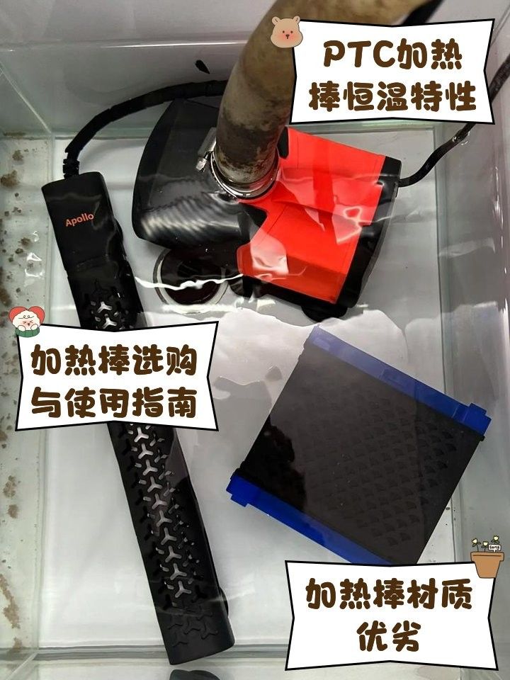 龍魚缸加熱棒多久換一次