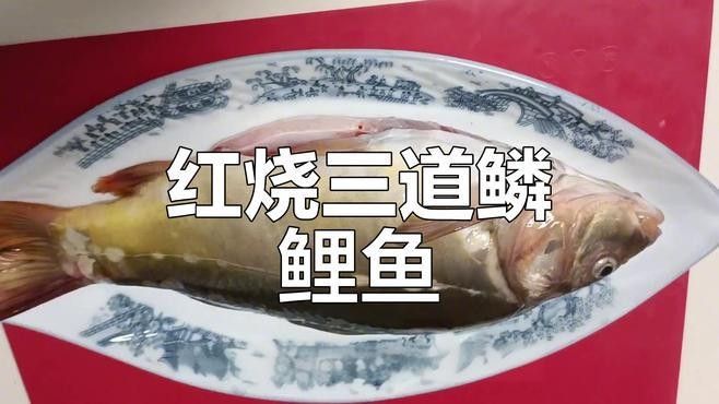 三道鱗大鯉子鯉魚（三道鱗大鯉子鯉魚家常做法）