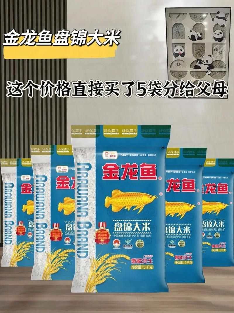銅仁水族館今日魚友反，沈陽魚友愛魚入缸后反饋視頻，沈陽銅仁水族館今日魚友反饋之一，魚友愛魚入缸后反饋視頻