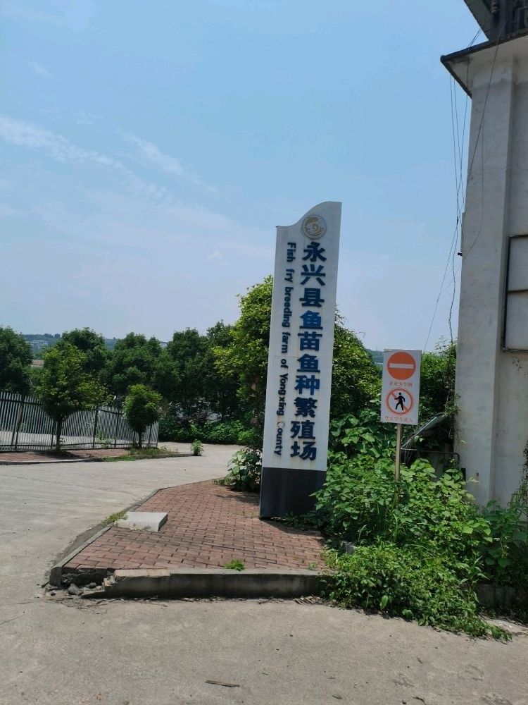 永興龍魚（永興縣永興龍魚養殖場）
