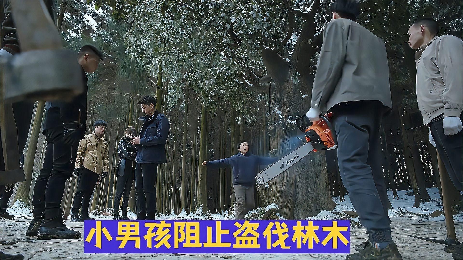 停食期間如何監(jiān)測(cè)水質(zhì)（停食期間如何監(jiān)測(cè)水質(zhì)？）