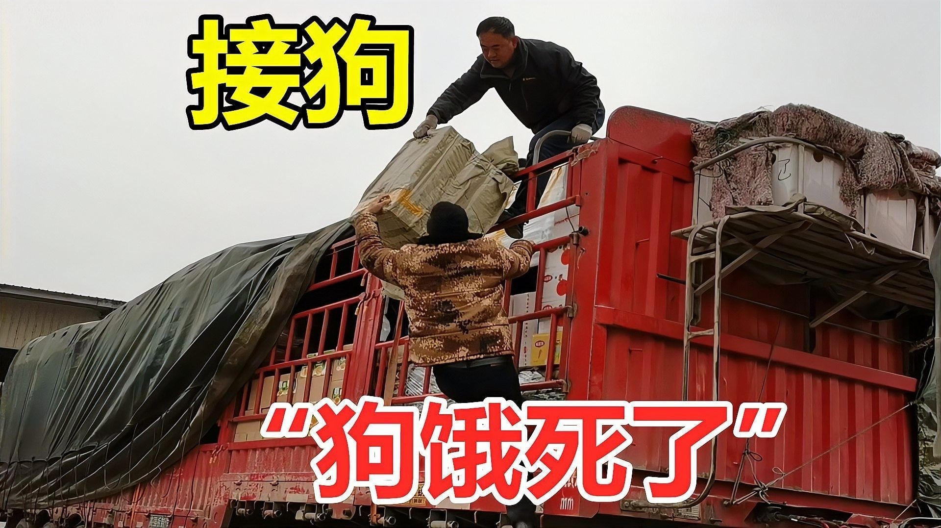 停食期間如何監(jiān)測(cè)水質(zhì)（停食期間如何監(jiān)測(cè)水質(zhì)？）