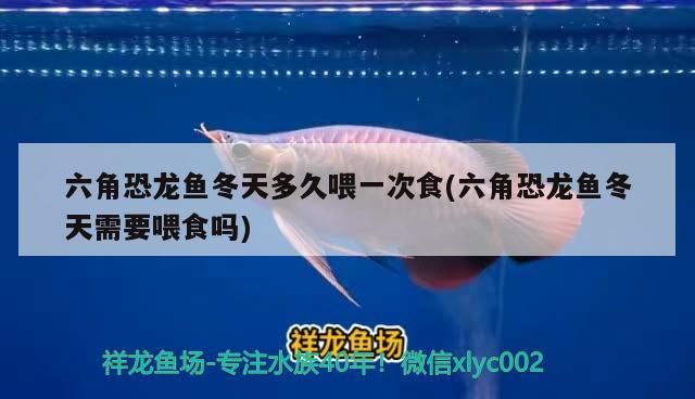西安魚缸批發廠家直銷店電話號碼多少（西安魚缸批發廠家直銷店電話號碼多少啊）（西安魚缸批發廠家）