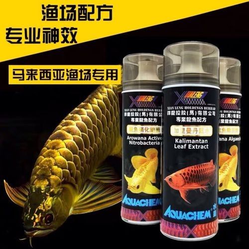 哪種龍魚專用藥物品牌最好（哪種龍魚專用藥品牌最好）