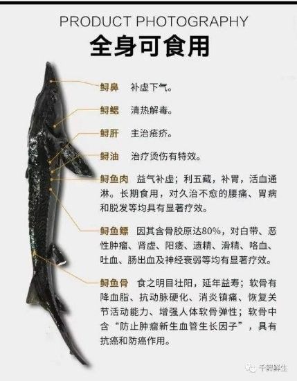 德格哪個水族館龍魚好？祥龍魚場龍魚（廣州龍魚族譜(品種圖鑒)品種圖鑒)難得一見）