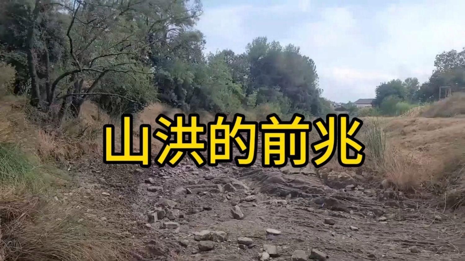 如何判斷是否需要緊急換水（如何判斷魚缸是否需要緊急換水）