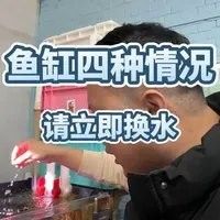 如何判斷是否需要緊急換水（如何判斷魚缸是否需要緊急換水）