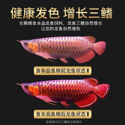 玉林水晶批發(fā)市場在哪里玉林水晶批發(fā)市場在哪里