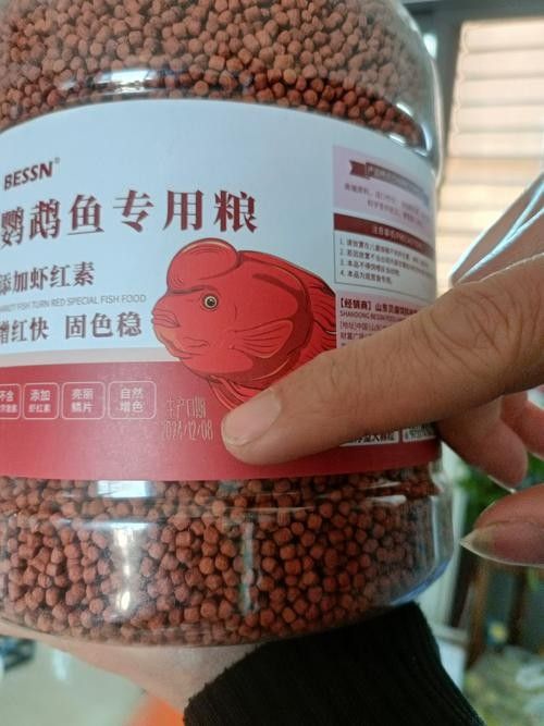 有哪些品牌增色飼料推薦？（增色飼料品牌推薦）