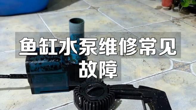 鑫海龍魚缸的維修服務如何？（海龍魚缸的維修服務評價）