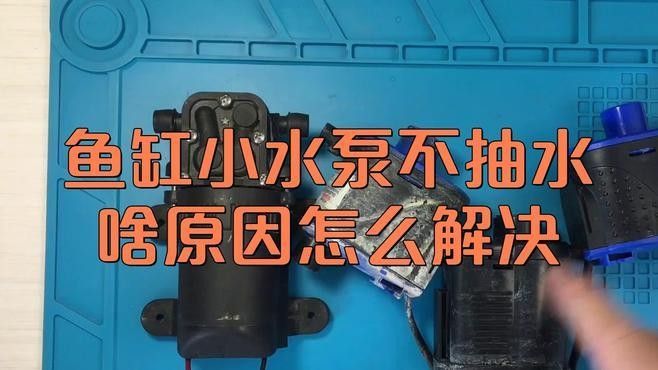 鑫海龍魚缸的維修服務如何？（海龍魚缸的維修服務評價）