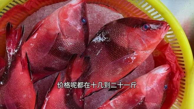 龍魚沉尾如何判斷是否嚴重了：龍魚沉尾如何判斷是否嚴重？（如何判斷龍魚是否沉尾）