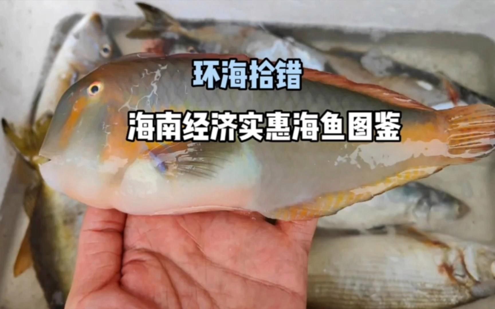 龍魚沉尾如何判斷是否嚴重了：龍魚沉尾如何判斷是否嚴重？（如何判斷龍魚是否沉尾）