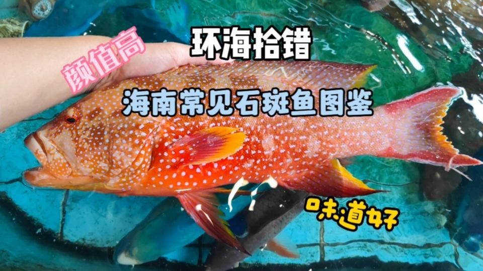 龍魚沉尾如何判斷是否嚴重了：龍魚沉尾如何判斷是否嚴重？（如何判斷龍魚是否沉尾）