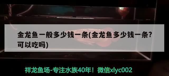 金龍魚一般多少錢一條(金龍魚多少錢一條?可以吃嗎)（金龍魚一般多少錢一條） 金龍魚一般多少錢一條(金龍魚多少錢一條?可以吃嗎)（金龍魚一般多少錢一條） 觀賞魚百科