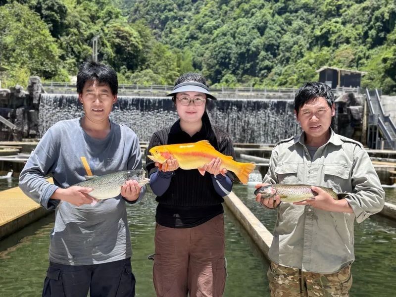 還有哪些龍魚養(yǎng)殖基地值得關(guān)注（中國龍魚養(yǎng)殖基地、日本龍魚養(yǎng)殖基地、澳大利亞龍魚養(yǎng)殖基地）