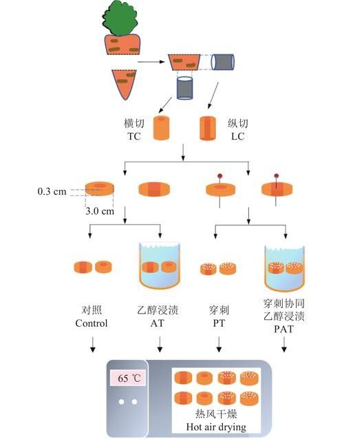 火龍魚如何應(yīng)對(duì)天敵?(火龍魚如何應(yīng)對(duì)多種天敵威脅) 龍魚百科 第1張 火龍魚如何應(yīng)對(duì)天敵?(火龍魚如何應(yīng)對(duì)多種天敵威脅) 火龍魚如何應(yīng)對(duì)天敵?(火龍魚如何應(yīng)對(duì)多種天敵威脅) 龍魚百科 第1張