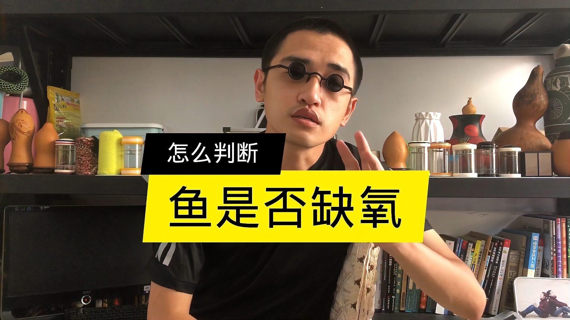 如何判斷火龍魚是否缺氧？（如何判斷火龍魚是否缺氧，記住5個信號，新手也能救魚命）