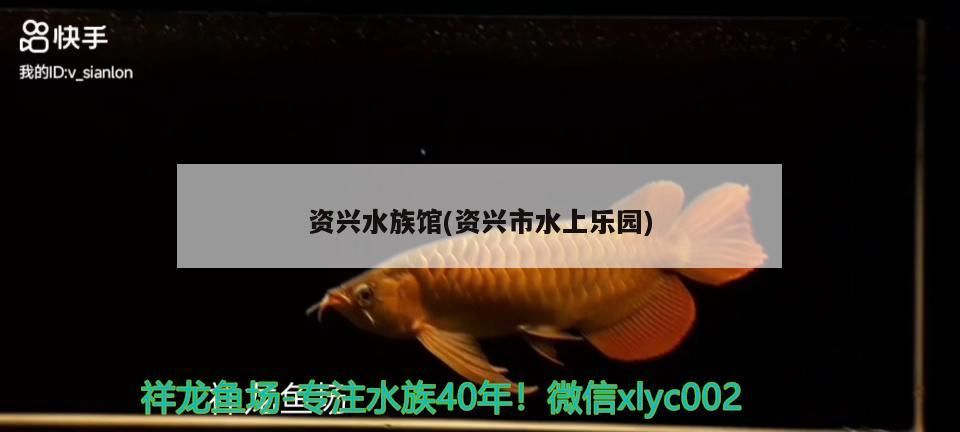 資興水族館(資興市水上樂園)（湖南省資興水族館是一個集觀賞海洋生物、娛樂為一體的現代化芙蓉）