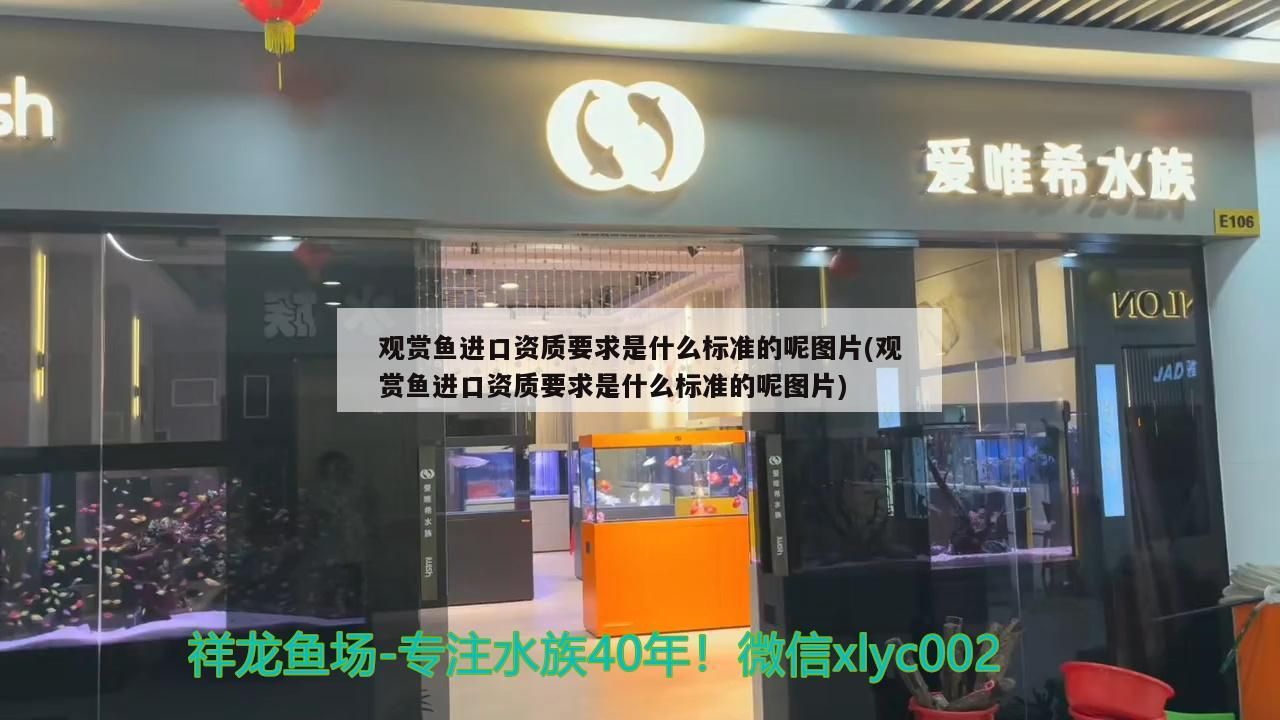 觀賞魚進口資質要求是什么標準的呢圖片(觀賞魚進口資質要求是什么標準的呢圖片)（觀賞魚進口資質要求）