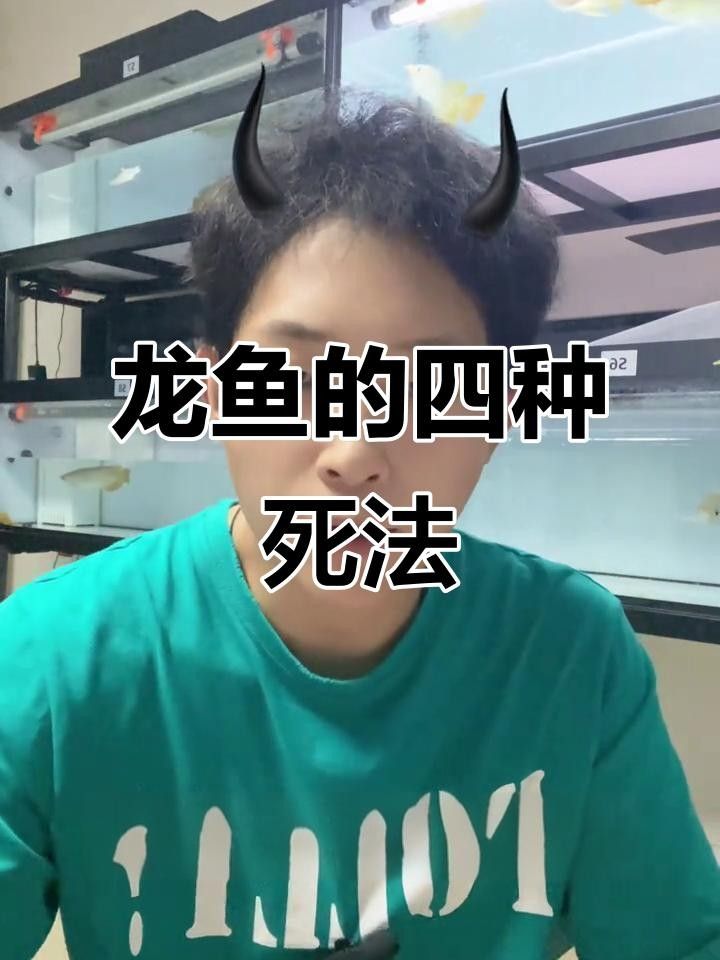 養龍魚的危害（養龍魚可能帶來的四大危害）