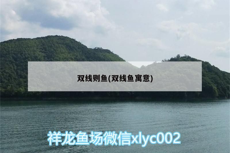 雙線(xiàn)則魚(yú)(雙線(xiàn)魚(yú)寓意)（雙線(xiàn)則魚(yú)的寓意）