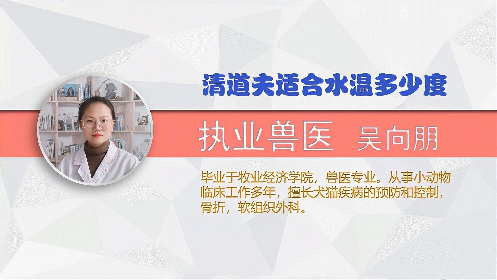 龍魚和清道夫混養需要注意什么？（清道夫和龍魚混養指南:清道夫和錦鯉能一起養嗎） 龍魚和清道夫混養需要注意什么？（清道夫和龍魚混養指南:清道夫和錦鯉能一起養嗎） 龍魚百科 第2張