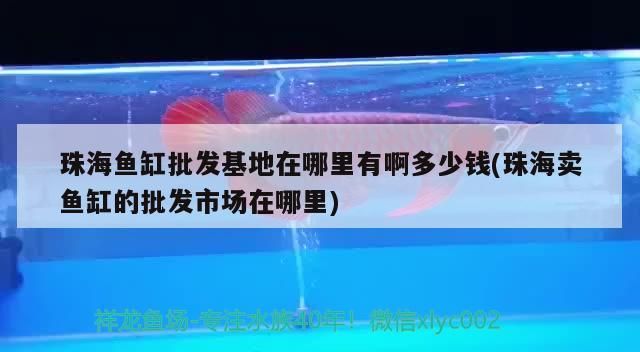 珠海魚缸批發(fā)基地在哪里有啊多少錢(珠海賣魚缸的批發(fā)市場(chǎng)在哪里)（珠海魚缸批發(fā)基地在哪里有）