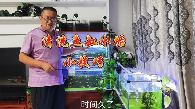 龍魚缸徹底清理的具體步驟（天山可可:魚缸糞便清理全攻略）