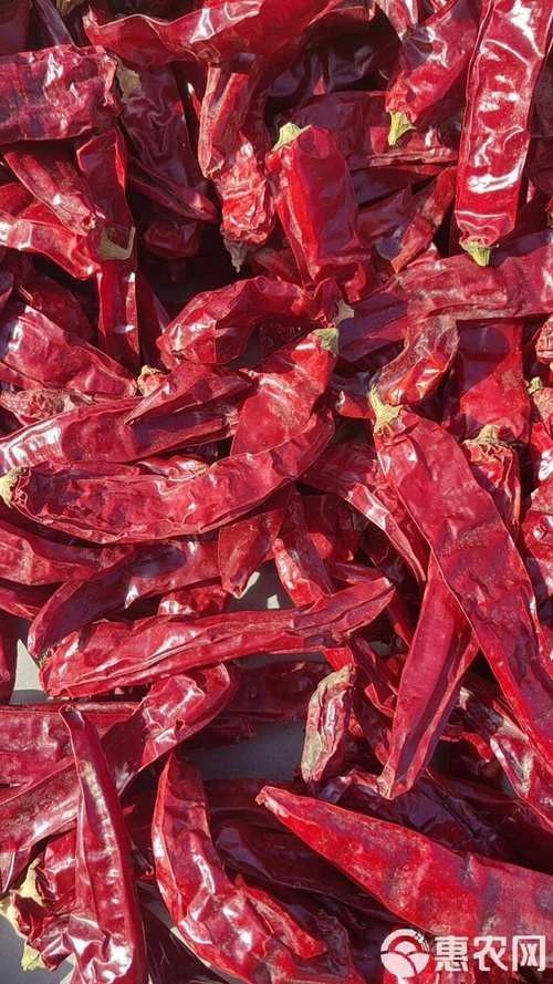 給我一張神龍魚高清大圖（神龍魚的高清大圖）