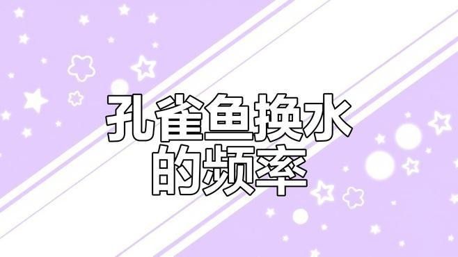 孔雀龍魚多久換一次水？（孔雀龍魚多久換一次水）