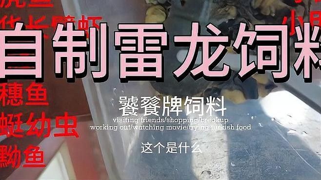 如何自制雷龍魚飼料（自制雷龍魚飼料制作教程，自制雷龍魚糧大升級,超級配方來襲）