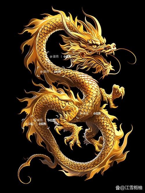 如何區(qū)分古典過背金龍與普通金龍（古典過背金龍與普通金龍的區(qū)別）