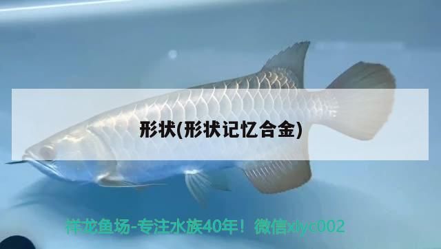 形狀(形狀記憶合金)（形狀記憶合金）