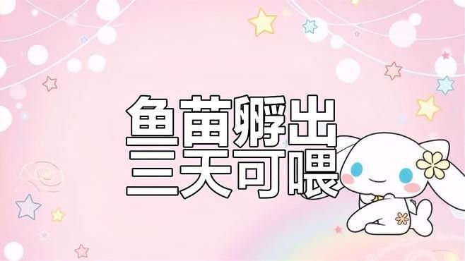 恐龍魚苗什么時候開始喂食（恐龍魚喂食時間因種類和個體而異，恐龍魚苗喂食時間因種類和個體而異）