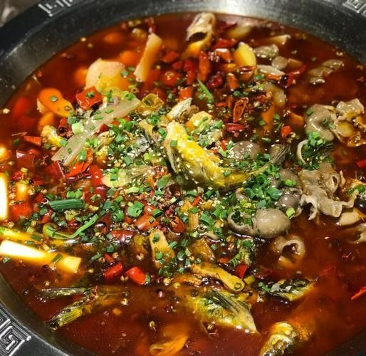 眉山最好吃的魚（來眉山品嘗最好吃的魚不僅僅是口腹之欲，更是一種文化體驗(yàn)）