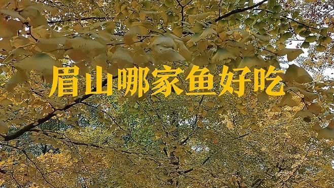 眉山最好吃的魚（來眉山品嘗最好吃的魚不僅僅是口腹之欲，更是一種文化體驗(yàn)）