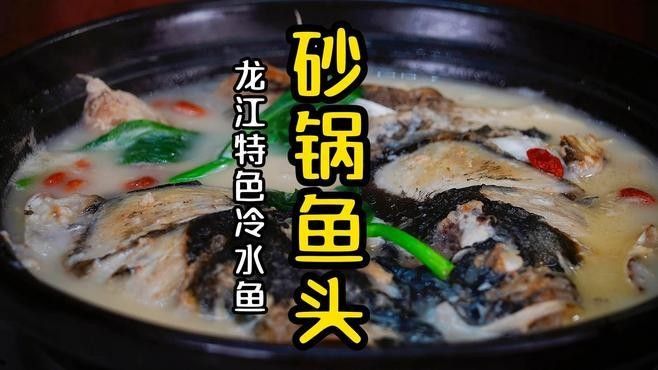有哪些魚種不適合與七彩神仙魚混養，七彩神仙魚混養的注意事項