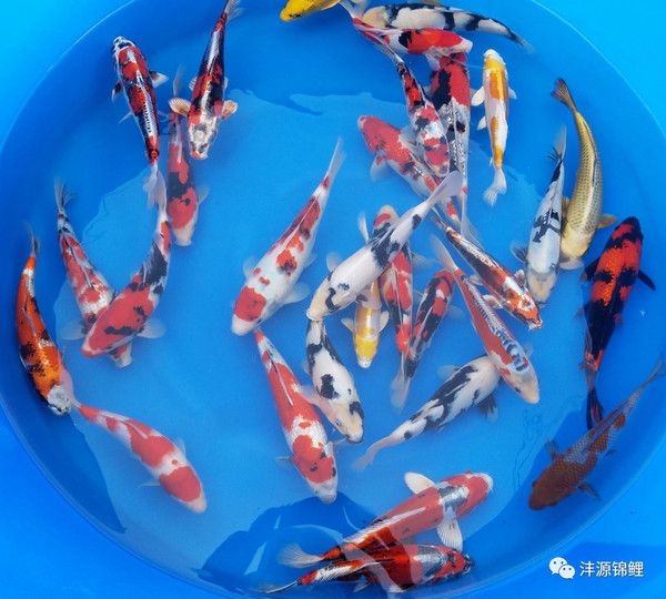 打造空氣缸其實真的很簡單（10;



&）
