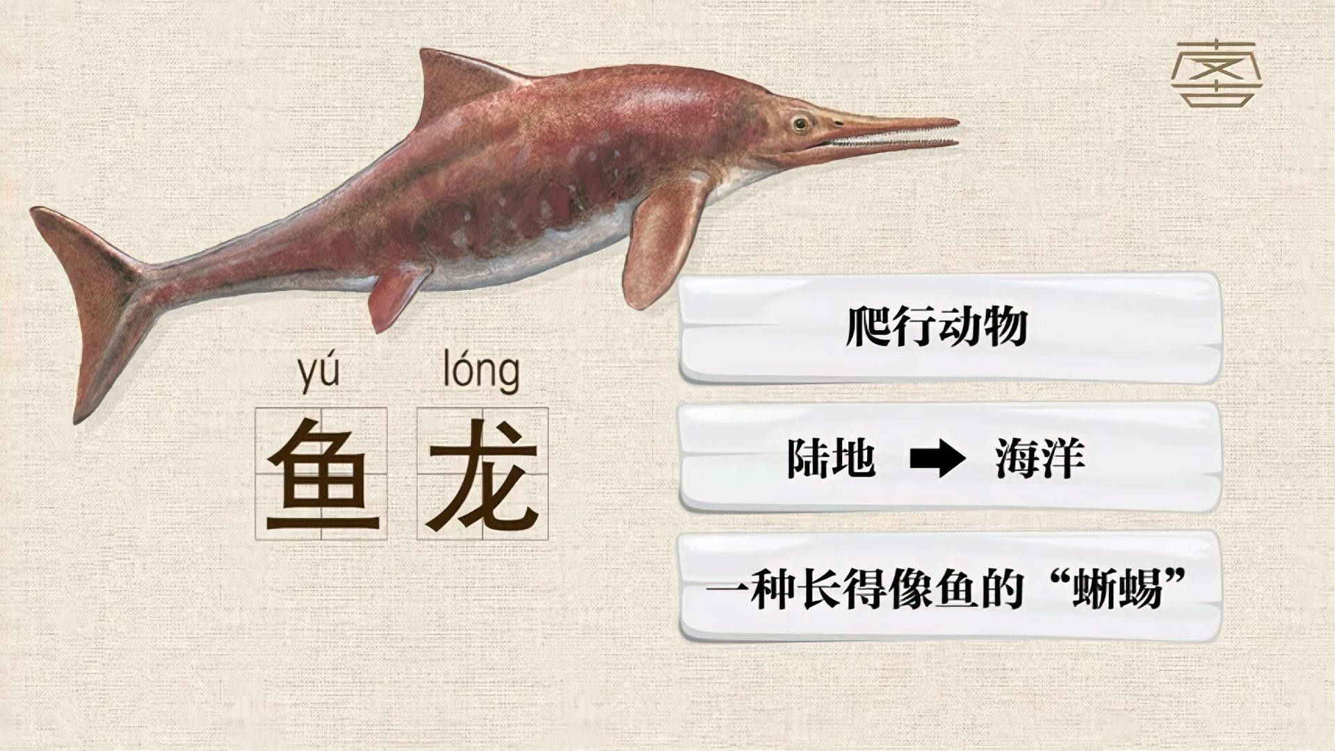 魚龍化石是如何形成的？（喜馬拉雅魚龍化石的形成過程及其關鍵步驟） 魚龍化石是如何形成的？（喜馬拉雅魚龍化石的形成過程及其關鍵步驟） 龍魚百科 第1張