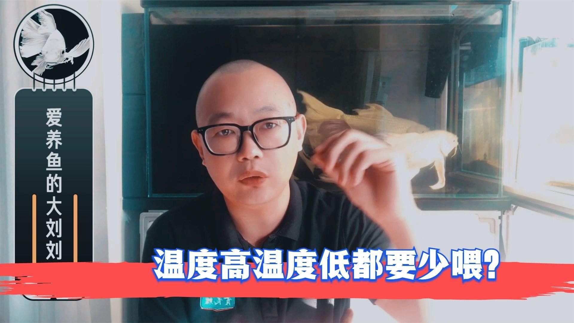 雷龍魚在31℃水溫下如何增氧（雷龍魚在31℃水溫下增氧的方法）