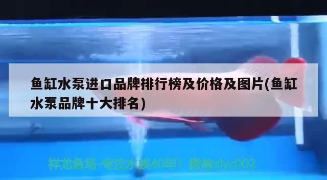 魚缸水泵進(jìn)口品牌排行榜及價(jià)格及圖片(魚缸水泵品牌十大排名)（魚缸水泵進(jìn)口品牌排行榜）