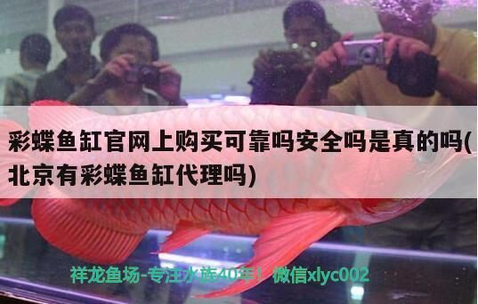 彩蝶魚缸官網上購買可靠嗎安全嗎是真的嗎(<strong><mark>北京</mark></strong>有彩蝶魚缸代理嗎)（彩蝶魚缸官網上購買可靠嗎）