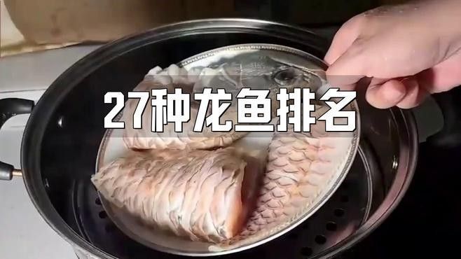 觀賞魚龍魚種類及名稱（關于觀賞魚龍魚種類及名稱的基本信息魚龍魚種類及名稱）