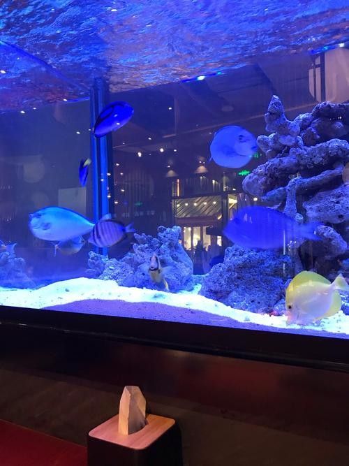 長泰哪個水族館龍魚好？祥龍魚場龍魚（祥龍魚場龍魚的價格范圍是多少？）