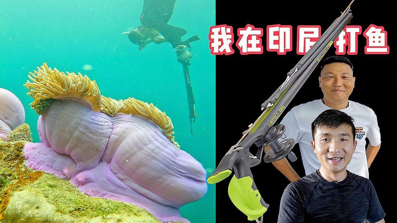 從印尼漁場直接拿魚需要哪些手續(xù)（印尼漁場直接拿魚需要什么手續(xù)？）